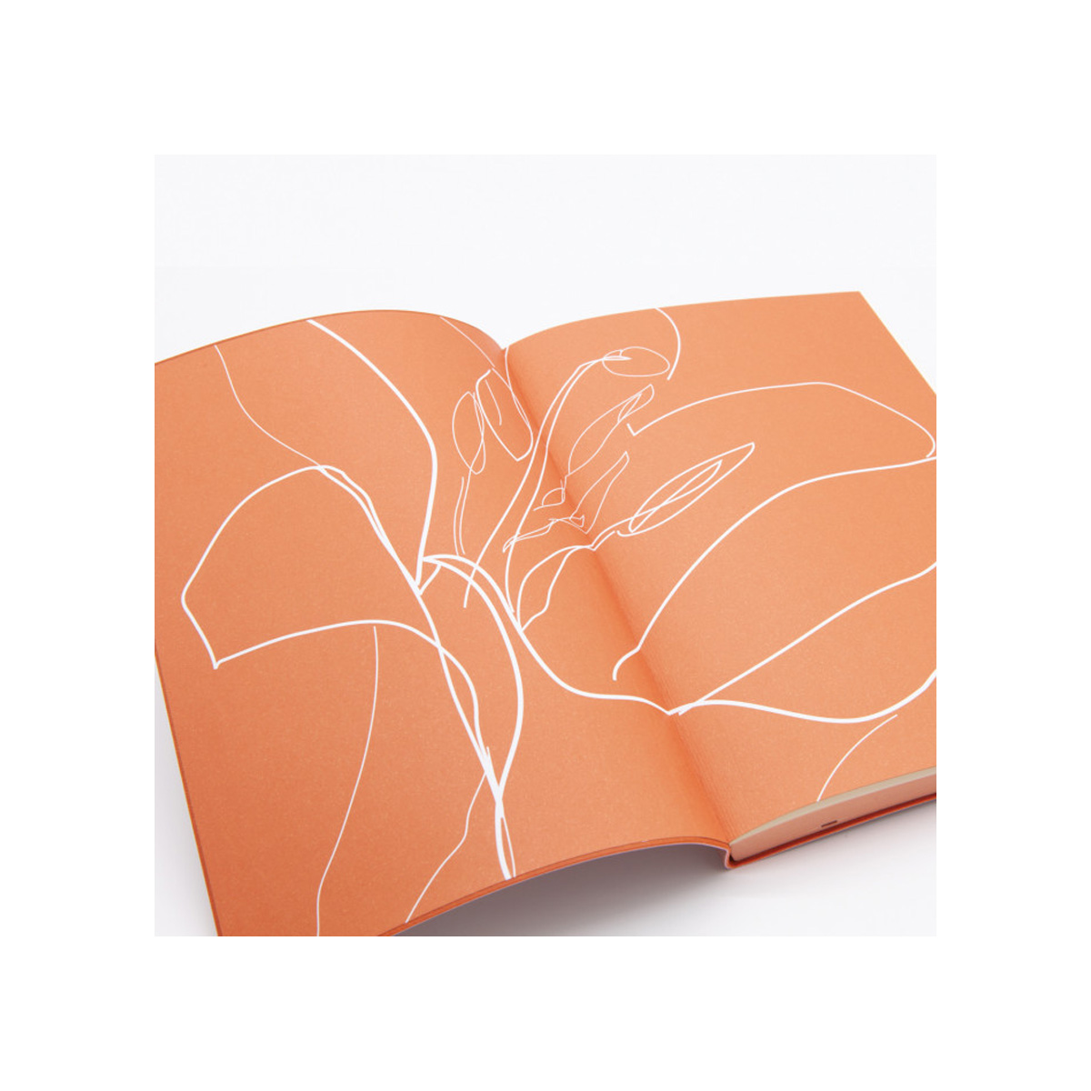 DAYCRAFT SIGNATURE FLORAL DOODLES PLAIN NOTEBOOK A5 - Thef:;llstop